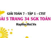 Giải bài 5 trang 34 Toán 7 Tập 1 SGK Chân trời sáng tạo